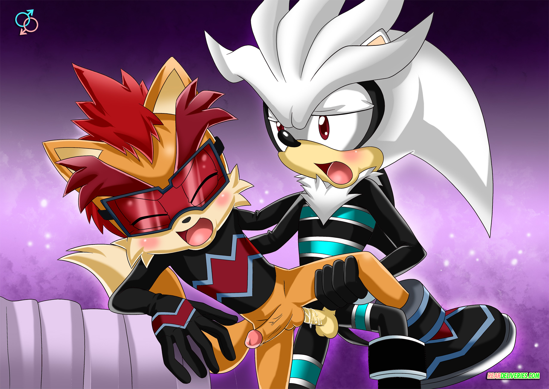 ...elias acorn, silver the hedgehog, sonic (series), anthro, furry, male, m...