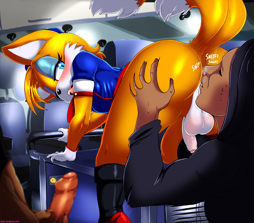 Shadman flight attendant