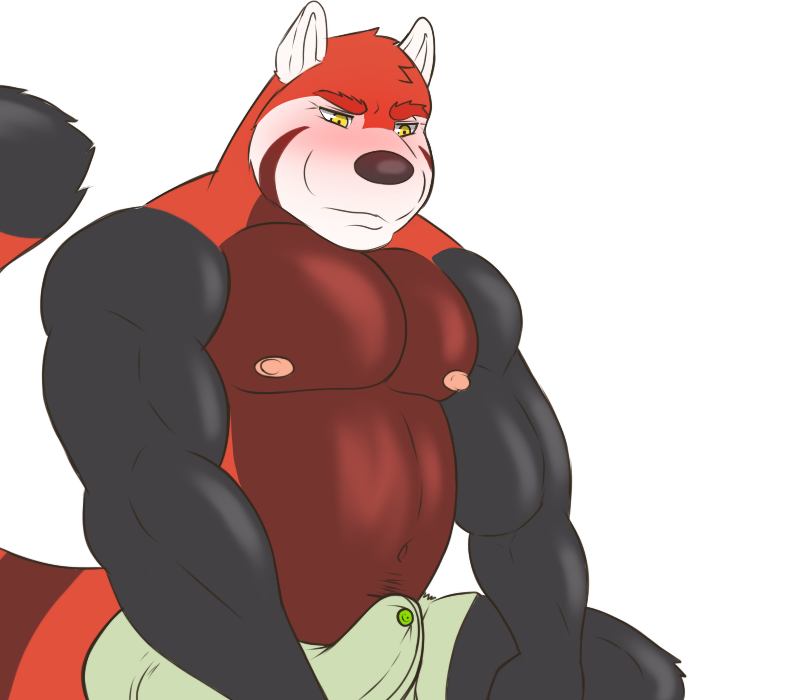 rain-yatsu, biceps, bulge, fur, male, male only, mammal, nipples, pecs, red panda, 