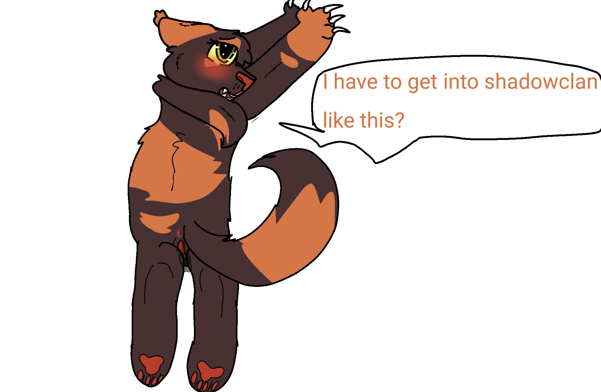 Tawnypelt warrior cats