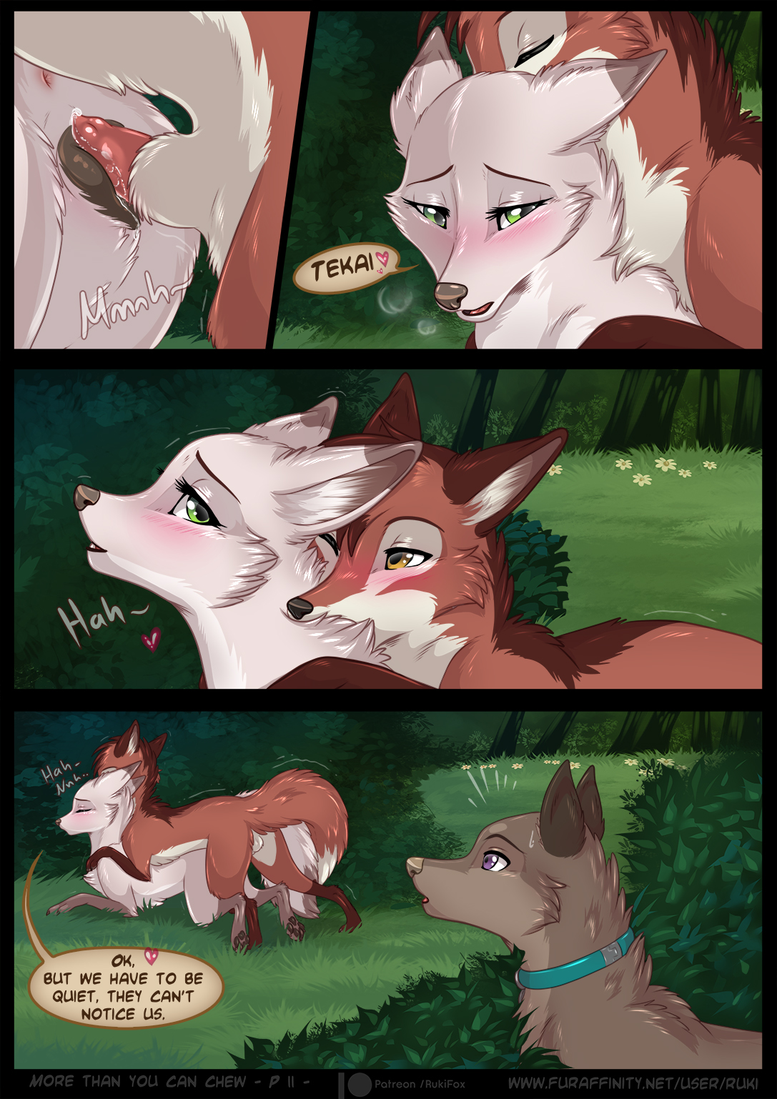 Rukifox comic