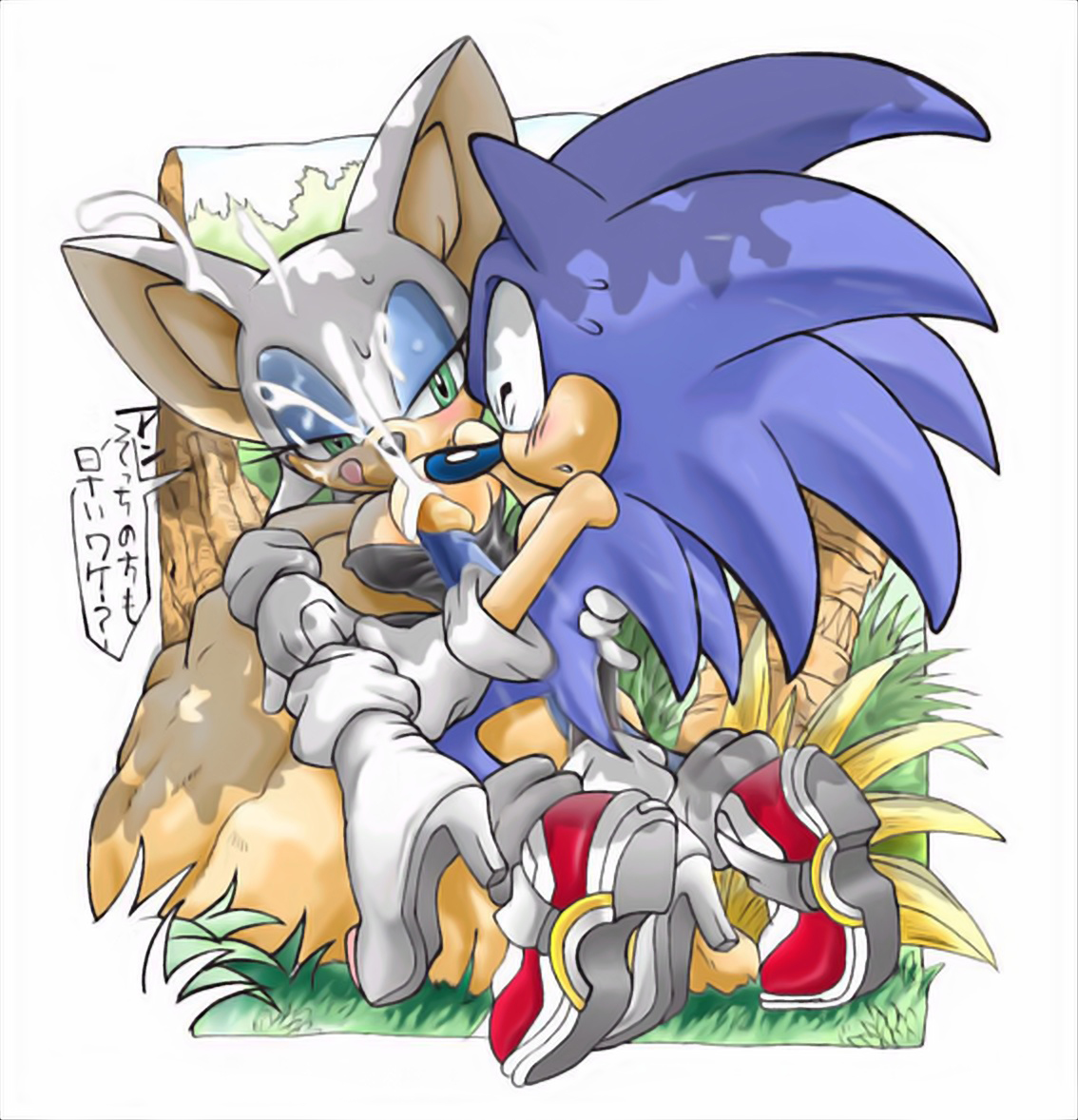 Sonic art hentai фото 83