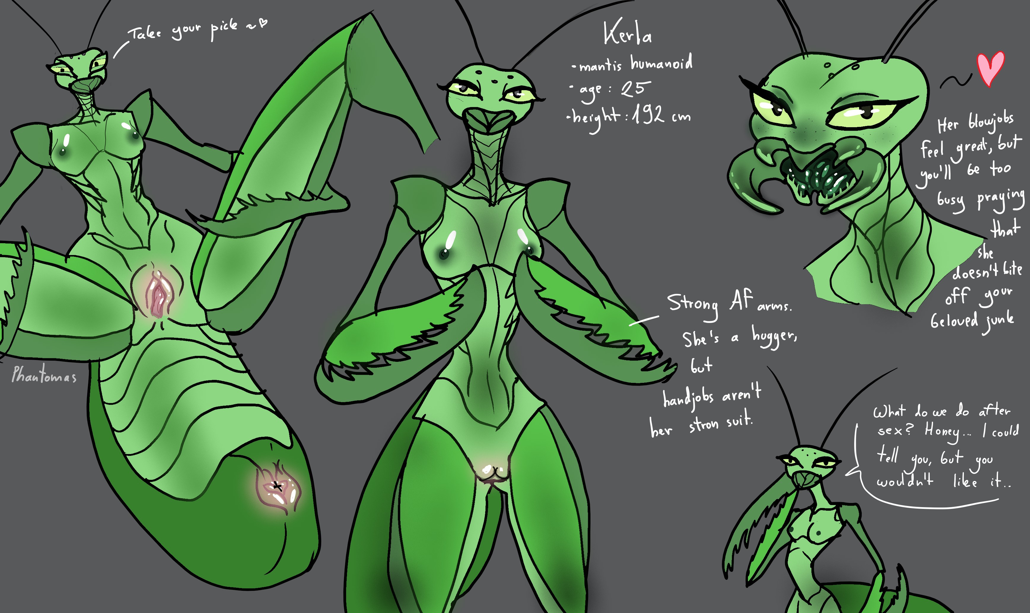 antennae, anus, insect girl, insect humanoid, insect mouth, mantis girl, ph...