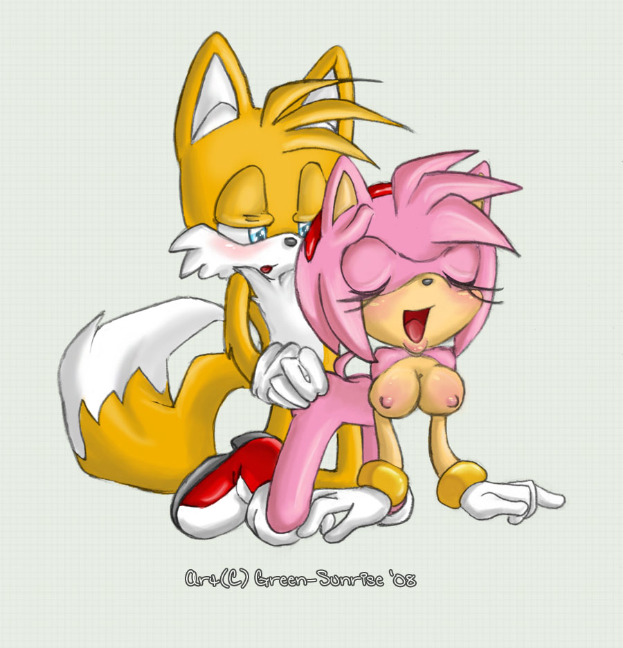 green-sunrise, amy rose, tails, sonic (series), 2008, color, simple backgro...