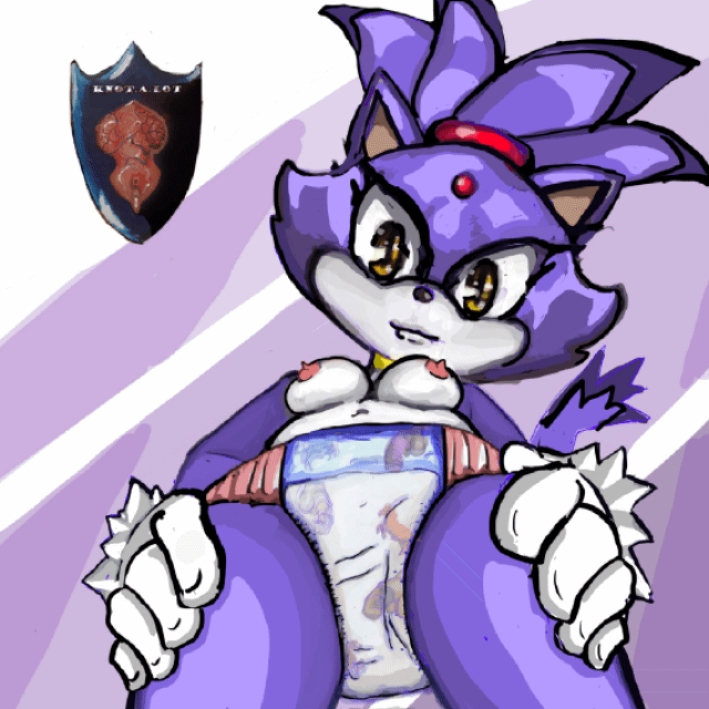blaze the cat, sonic (series), sonic the hedgehog (series), diaper, wetting diaper, 