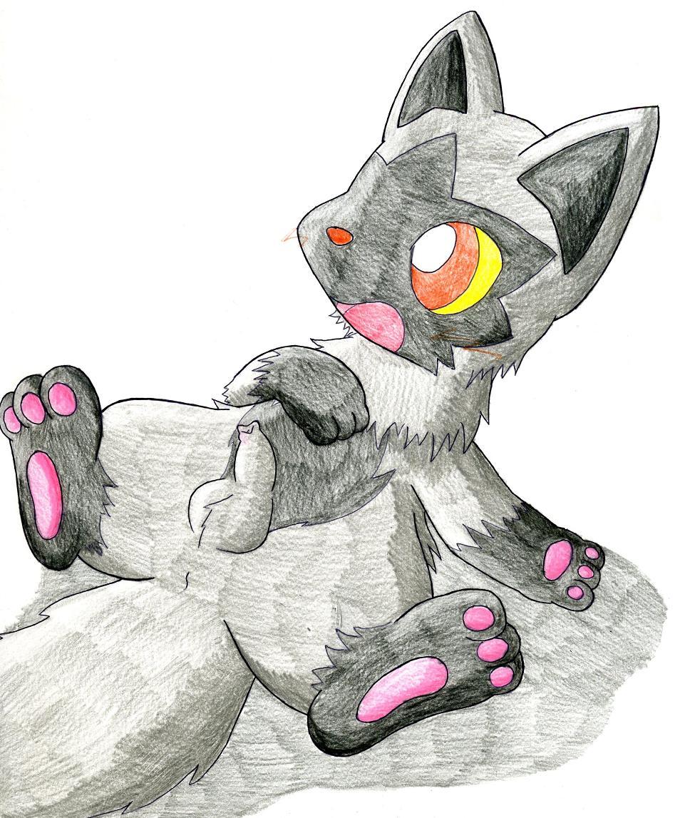 583, poochyena, color, tagme, blush, feral, fur, grey fur, male, male only, nude, penis, pokemon, sitting, solo, testicles, 