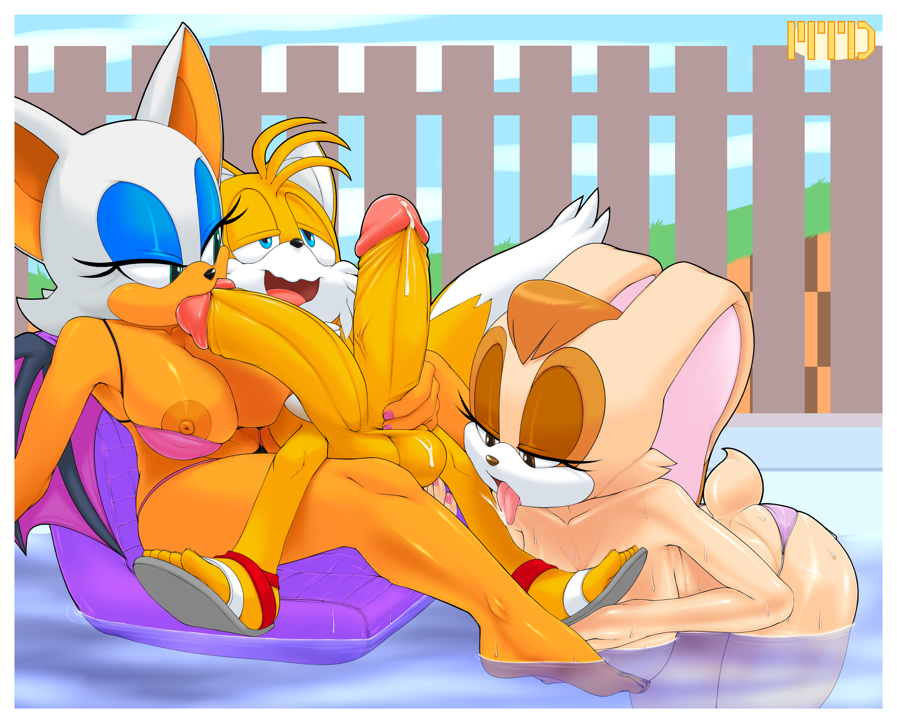 Tails and rouge naked