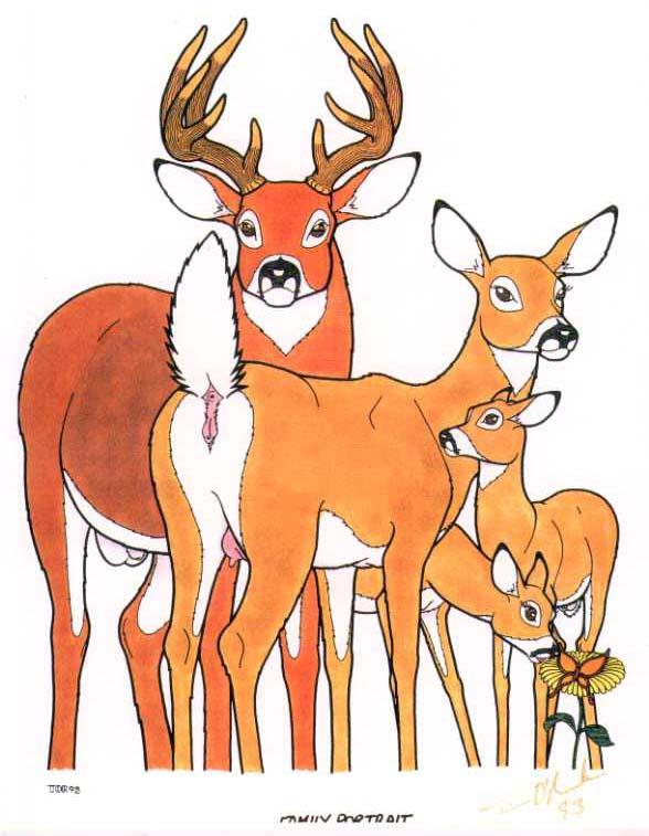 anus, arthropod, balls, butterfly, cervine, deer, family, female, insects, male, mammal, penis, pussy, young, 