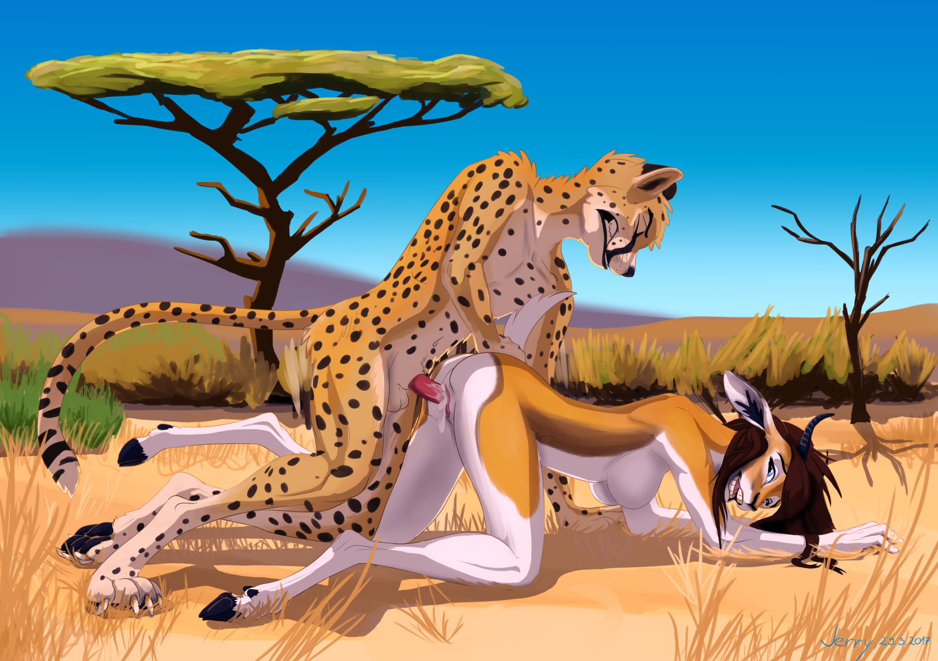 Cheetah xxx