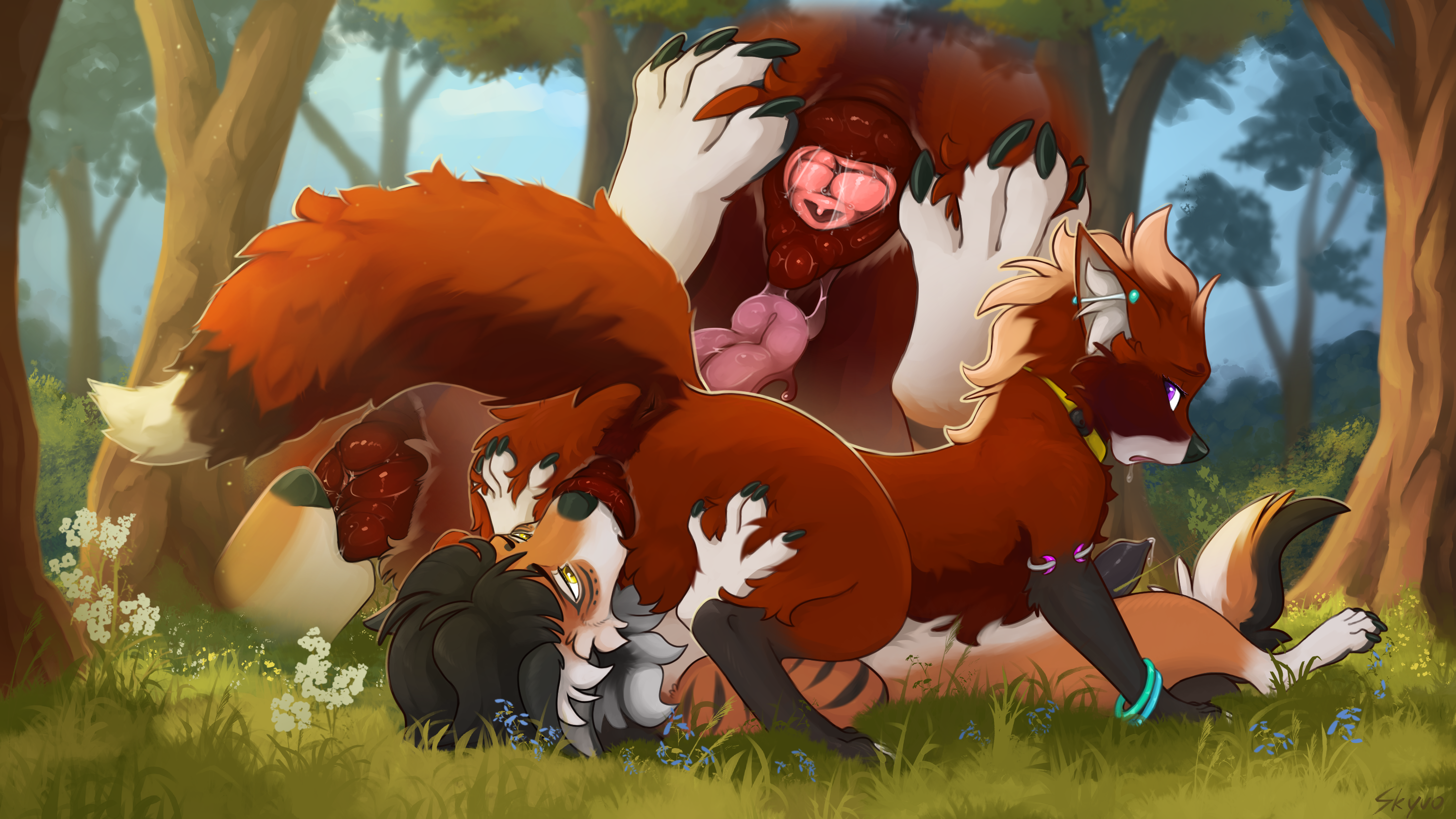 animal_genitalia animal_penis animal_pussy anklet ass bodily_fluids canid canine canine_genitalia canine_penis canine_pussy canis collar cum cum_on_penis cunnilingus duo ear_piercing facesitting female feral feral_on_feral fur genital_fluids genitals hand_on_ass hand_on_butt hi_res jewelry kiriata looking_back male male/female mammal maned_wolf oral orange_body orange_fur outside penis piercing purple_eyes pussy red_body red_fur sex sitting_on_another skyvo spread_pussy spreading truffles_(dragon_teufel) vaginal_penetration white_body white_fur wolf