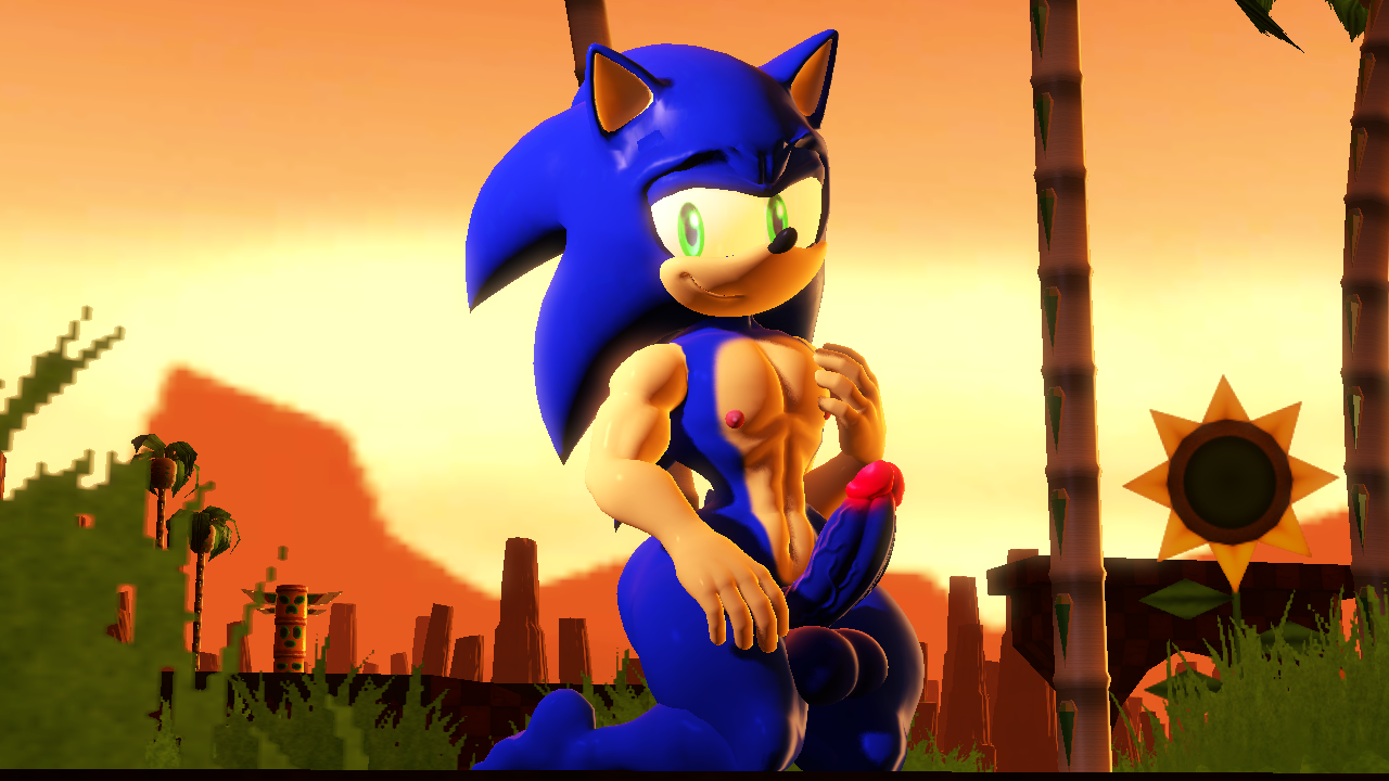 Rule34 - If it exists, there is porn of it / sonic the hedgehog / 5680263