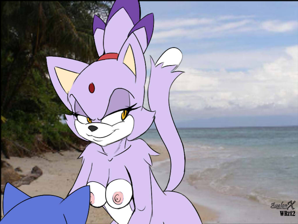 Rule34 - If it exists, there is porn of it / aval0nx, blaze the cat, sonic  the hedgehog / 346226