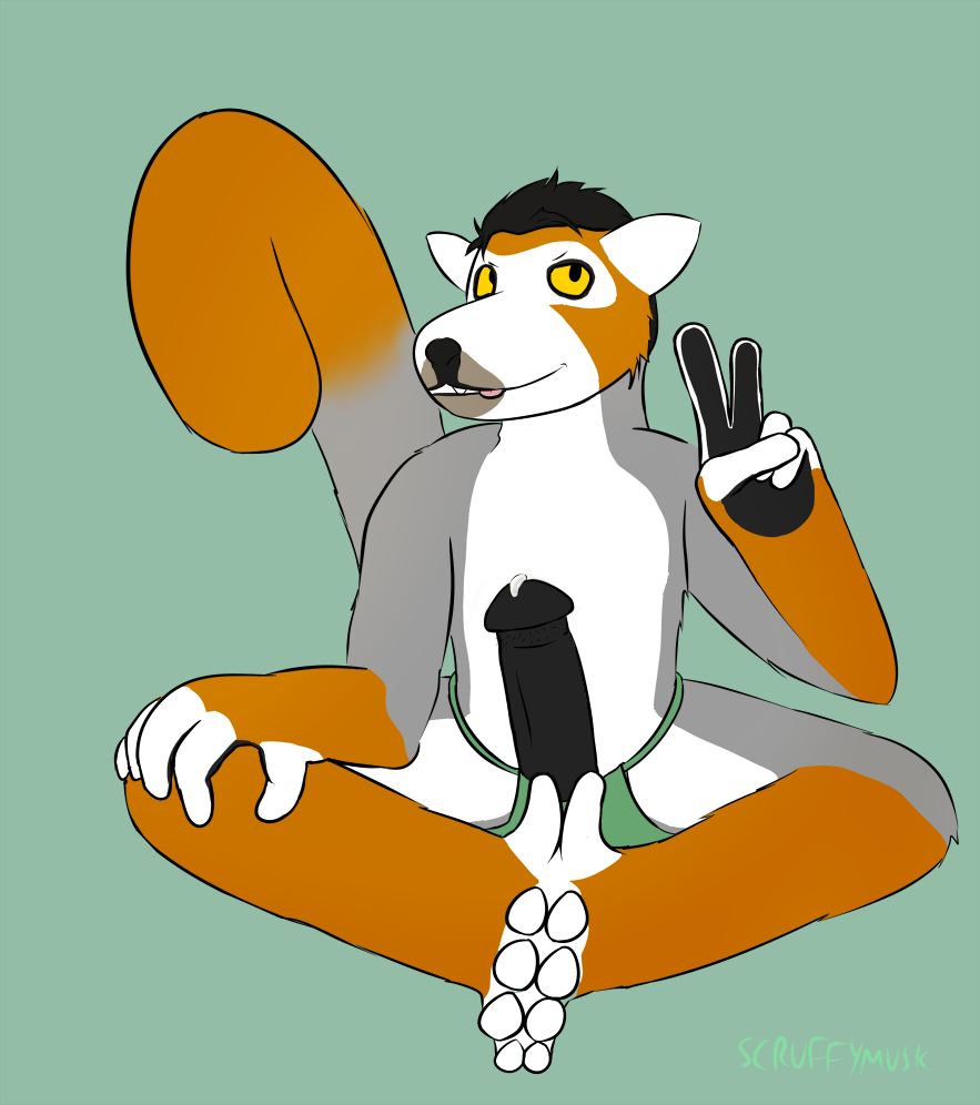scruffymusk, animal genitalia, crowned lemur, feet, lemur, loincloth, male only, mammal, penis, prehensile feet, primate, v, 