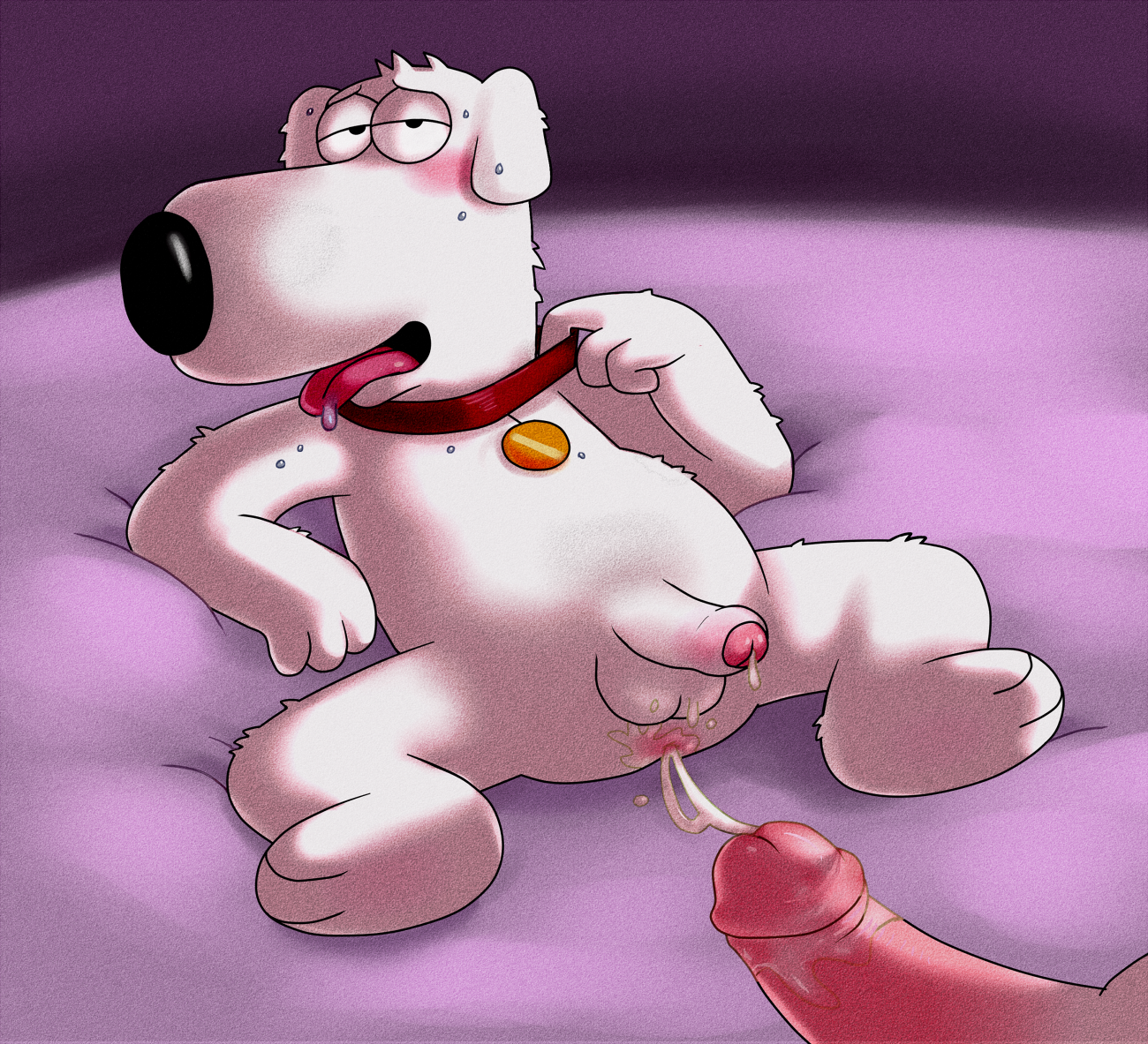 Brian griffin rule 34