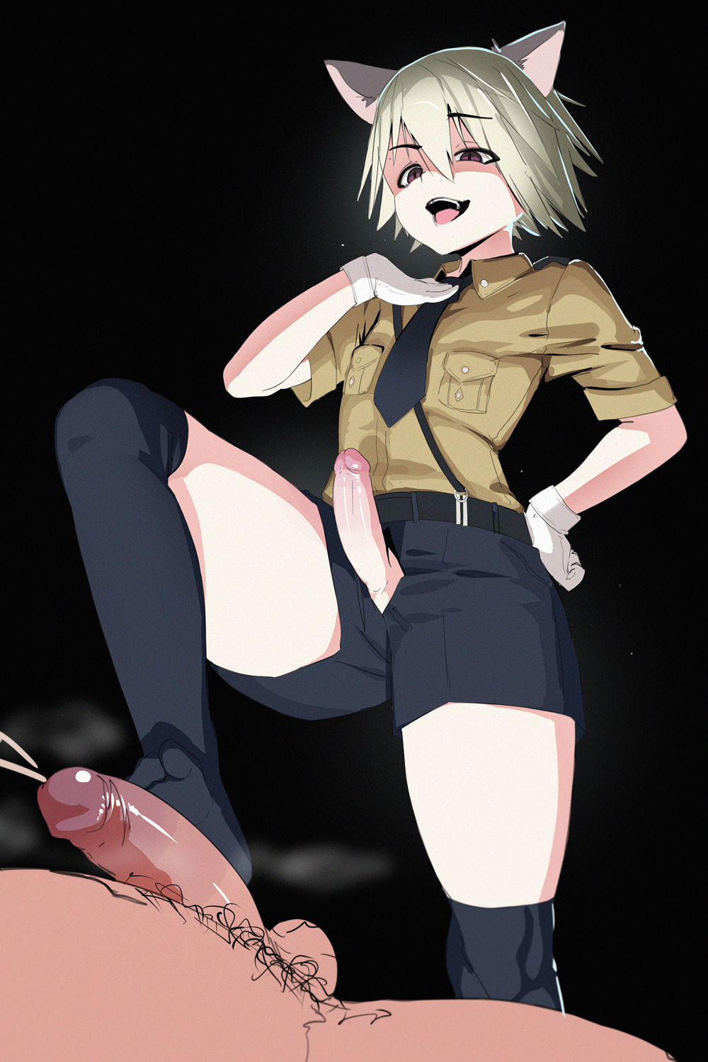 Schrodinger cat hellsing