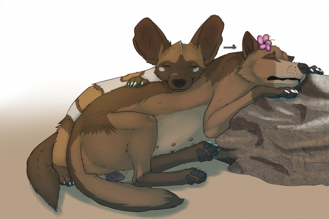 chakat-silverpaws, simple background, american wild dog, animal genitalia, animal pussy, canine pussy, female, feral, pussy, 