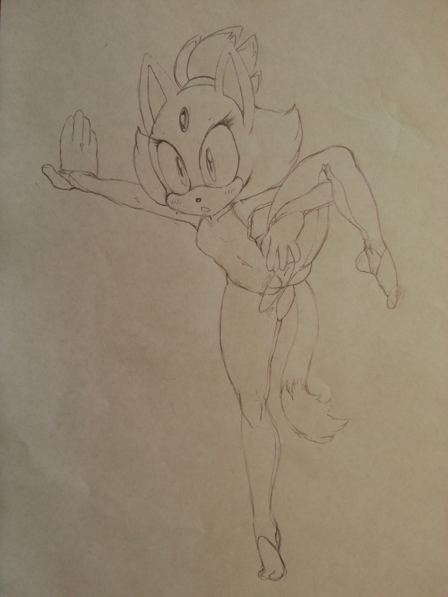 argento, amy rose, blaze the cat, sega, sonic (series), clothing, drawing, female, plain background, pussy, torn clothing, 