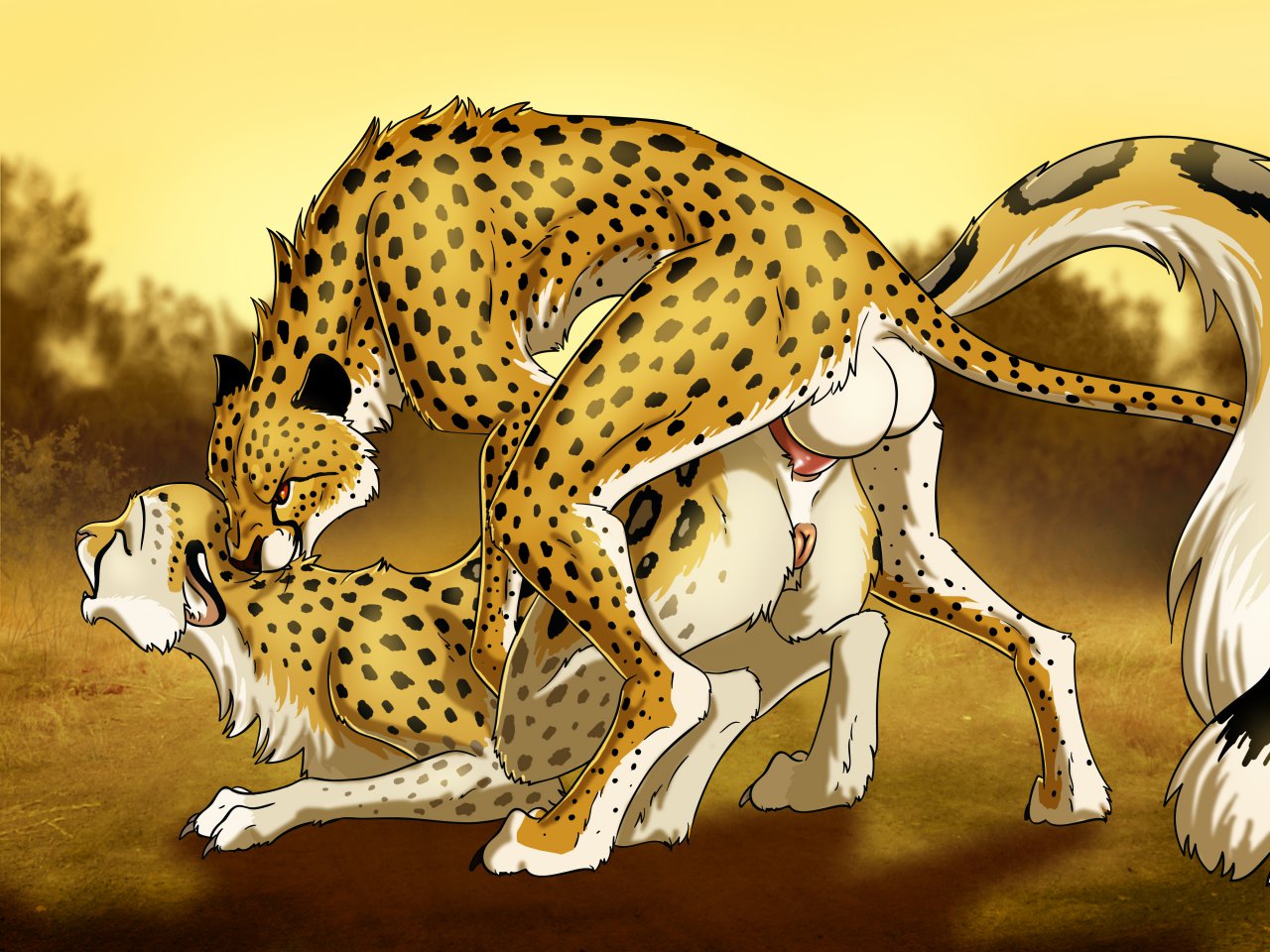 Cheetah print porn