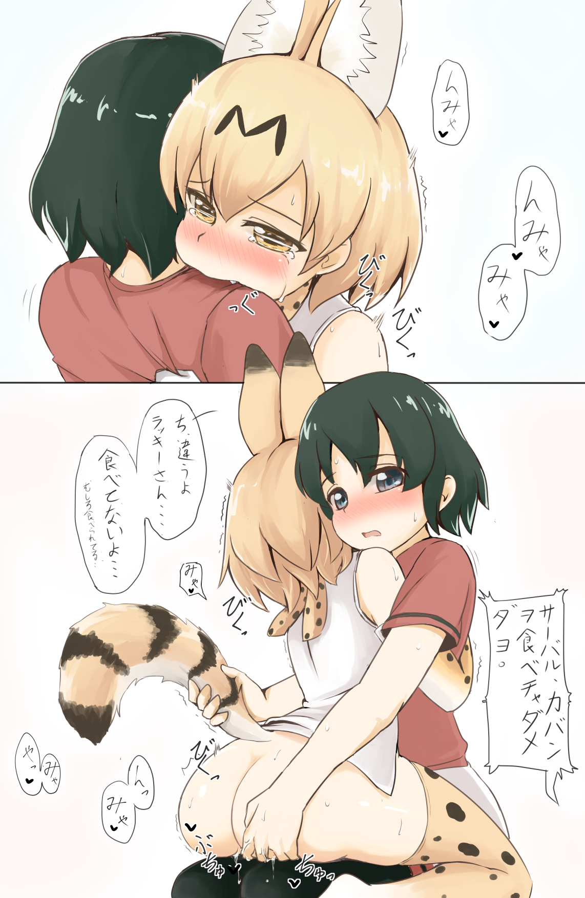 Kemono friends serval аниме хентай фото 20