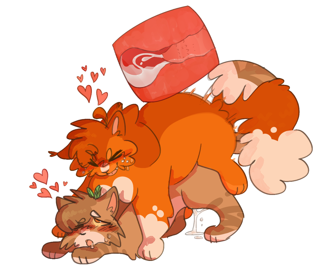 Squirrelflight warrior cats - a-lohas.jp