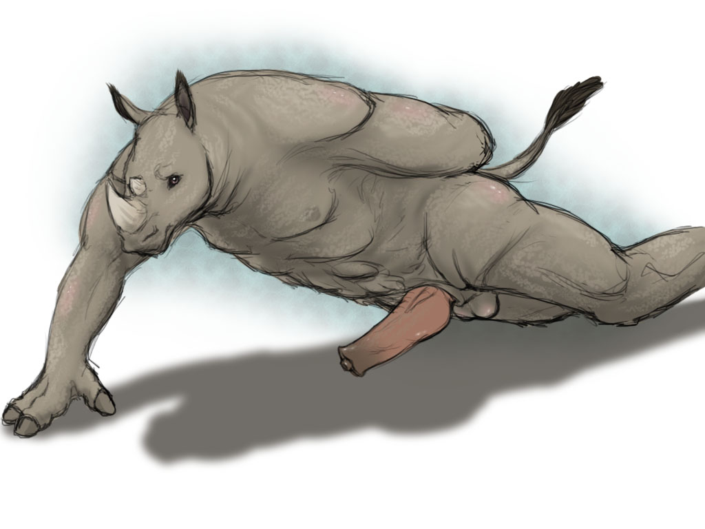 Rule34 - If it exists, there is porn of it  rhino  2656483