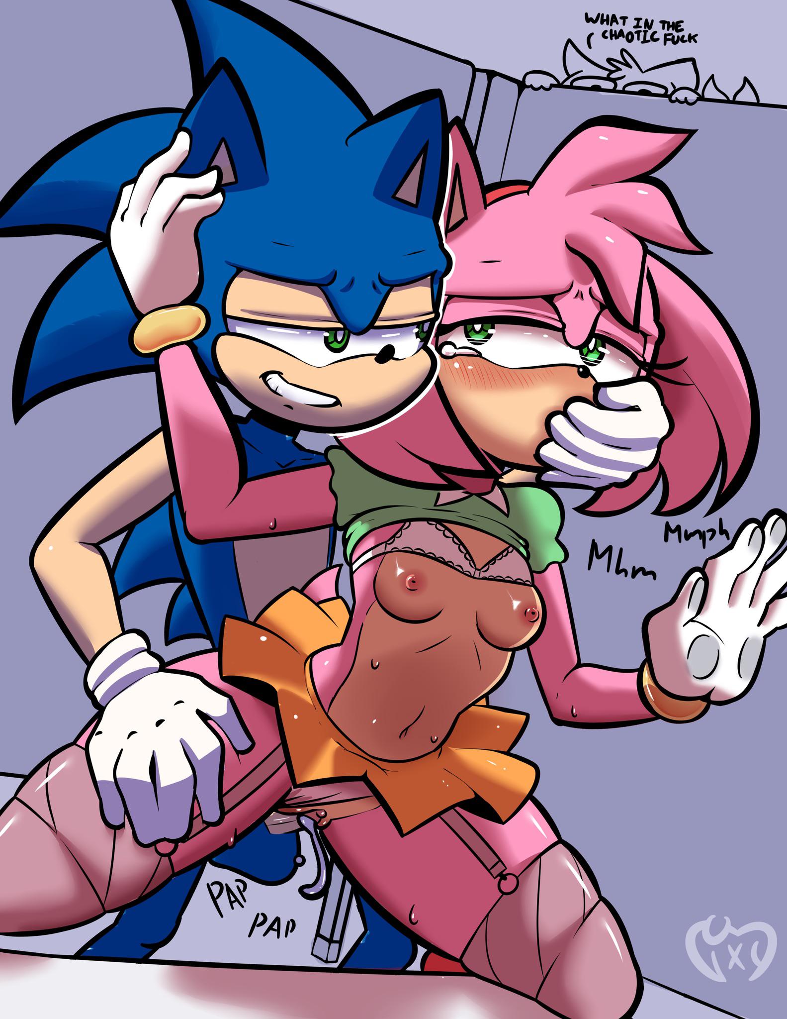 Rule34 - If it exists, there is porn of it  vixycore, amy rose, sonic the  hedgehog, tails  5528095