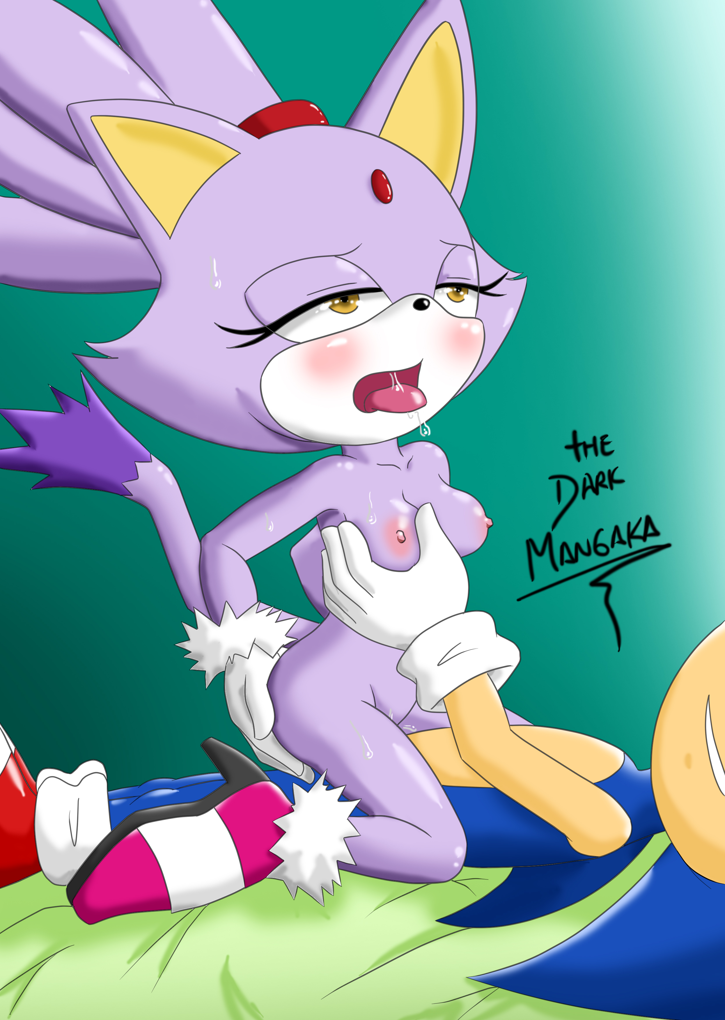 Rule34 - If it exists, there is porn of it / the dark mangaka (artist),  blaze the cat, sonic the hedgehog / 743230