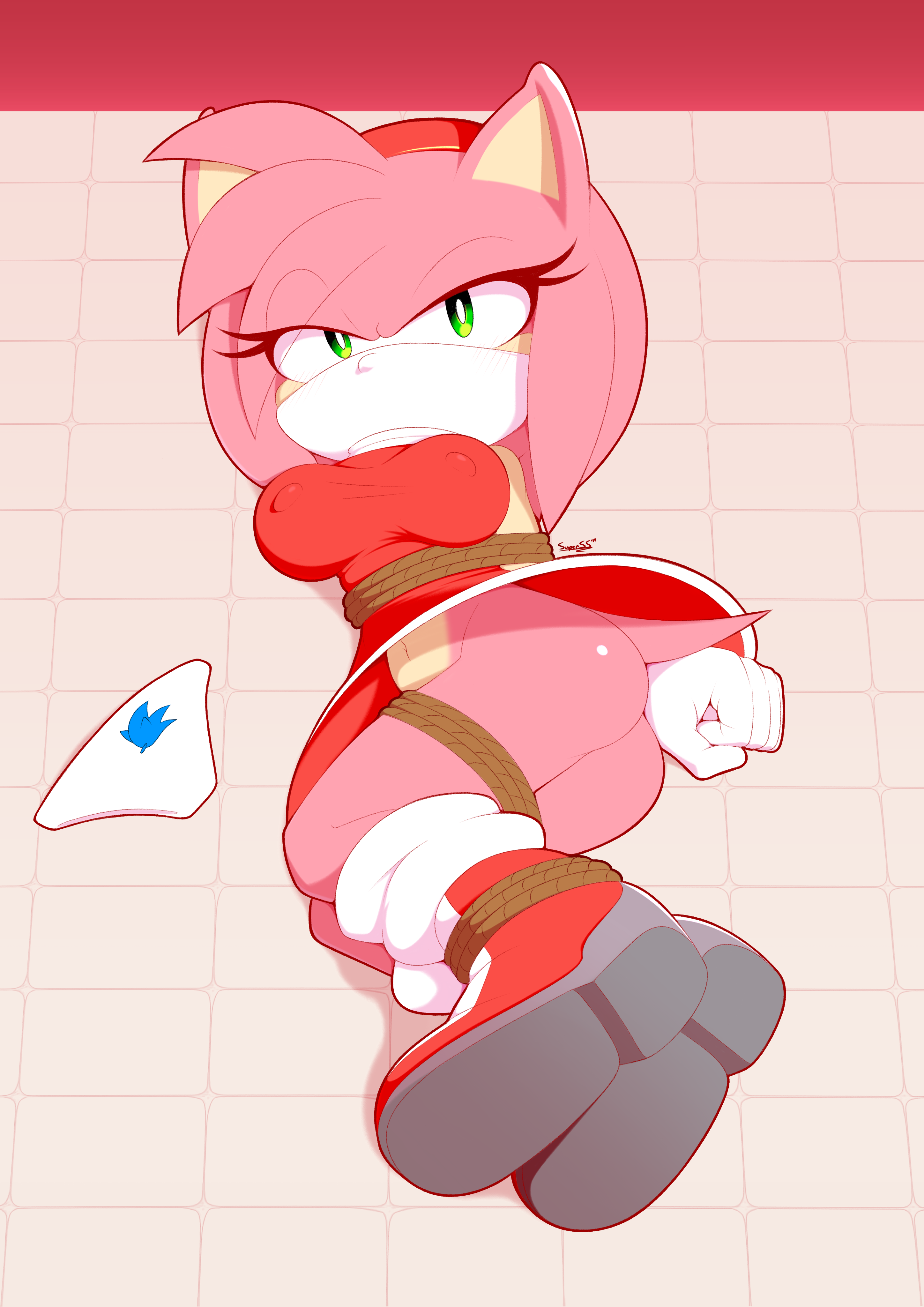 Rule34 - If it exists, there is porn of it / amy rose / 4744581.