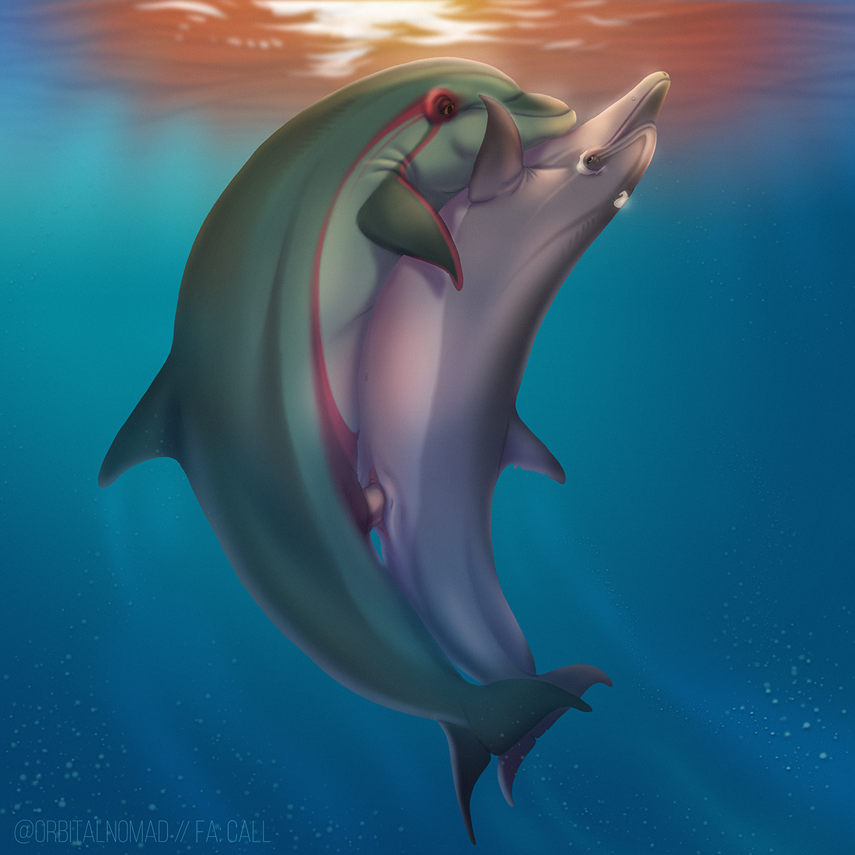 сколько длится оргазм у дельфинов фото 76