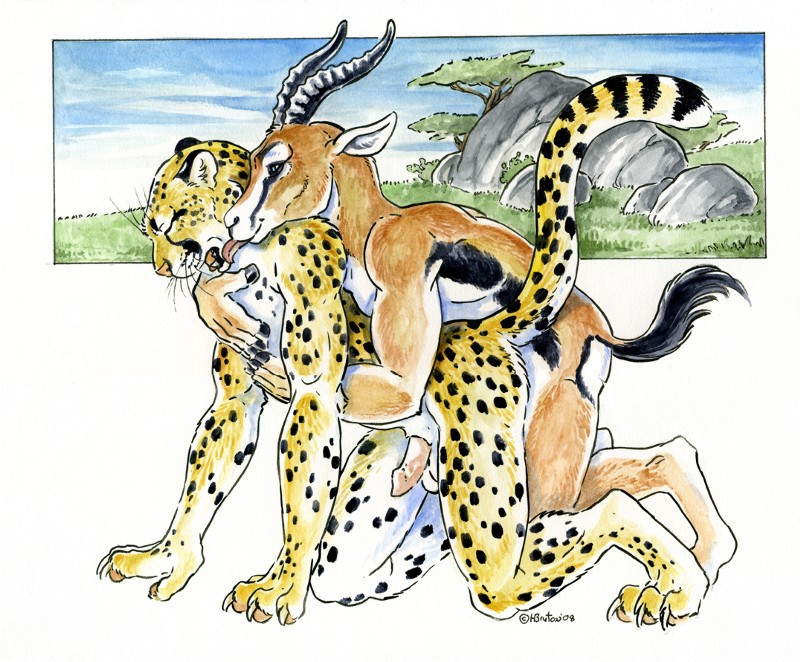 heather bruton, 2008, all fours, antelope, cheetah, eyess closed, feline, from behind, gay, gazelle, licking, male, nude, predator prey reversal, sex, thomson gazelle, tongue, turnaround, 