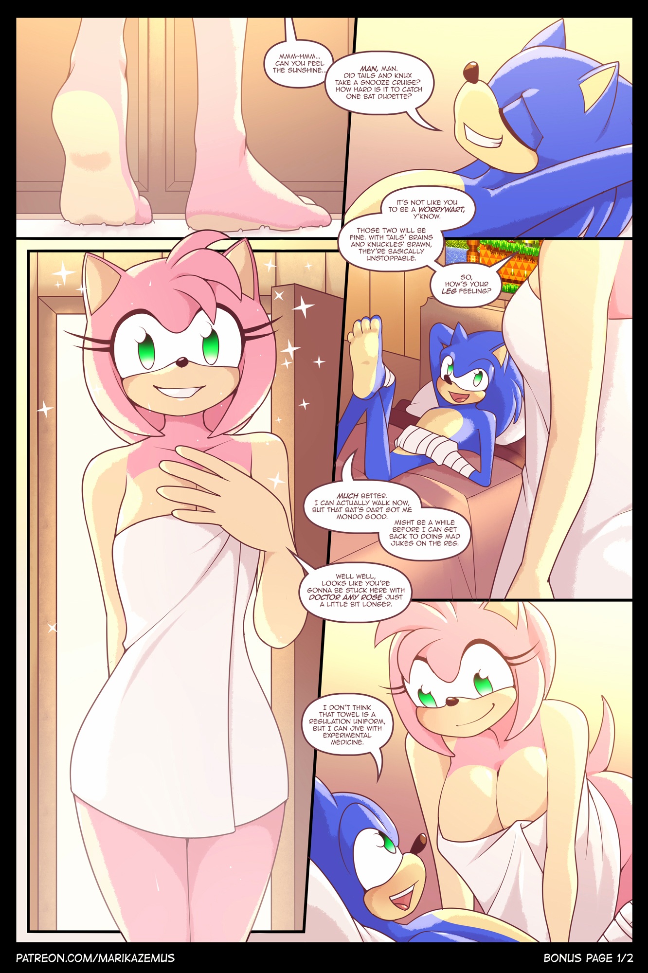 Sonic amy rose rule 34