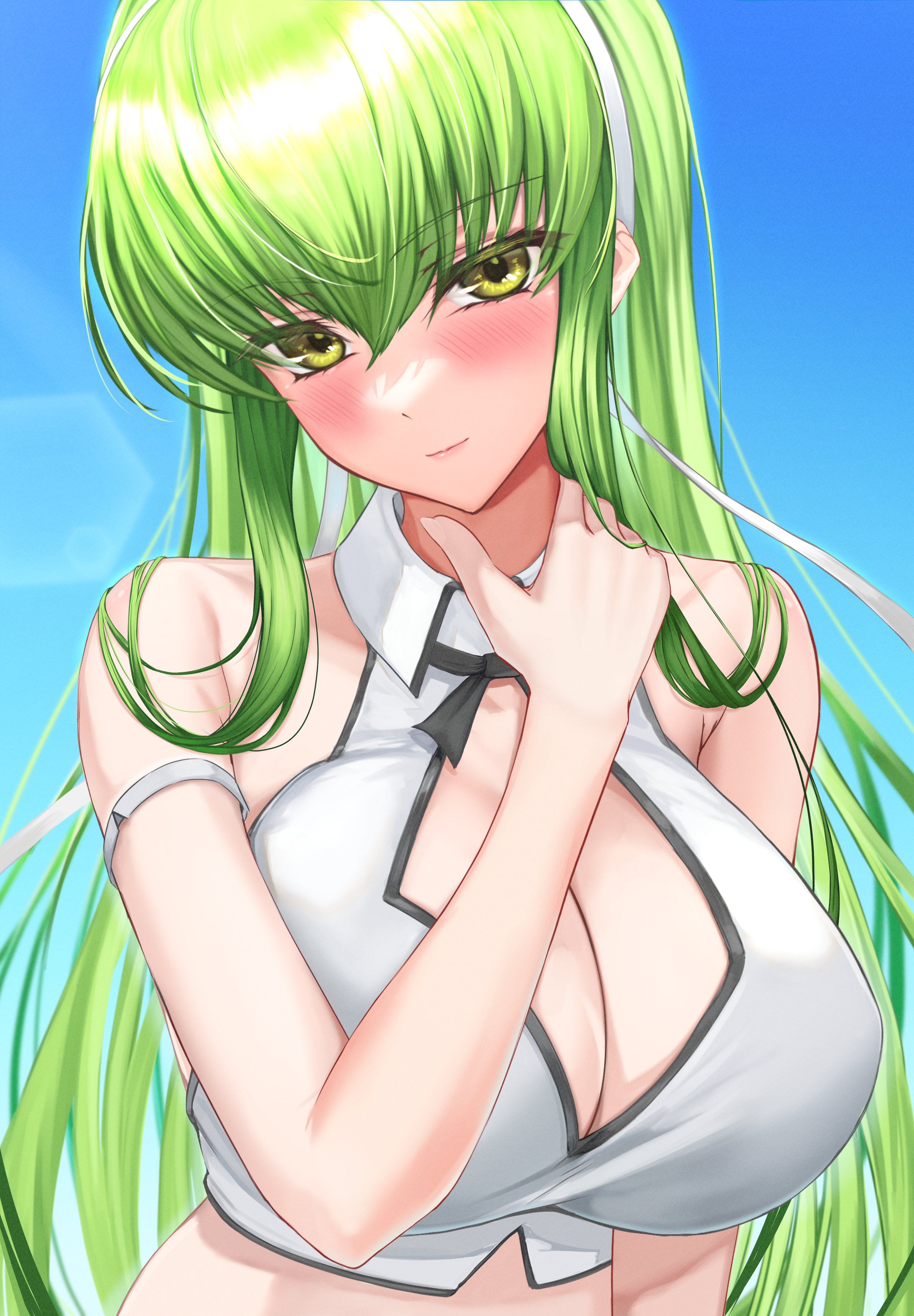 c.c., code geass, tagme, big breasts, blush, kaoru1307, large breasts, looking at viewer, no bra, outside, smile, upper body, 