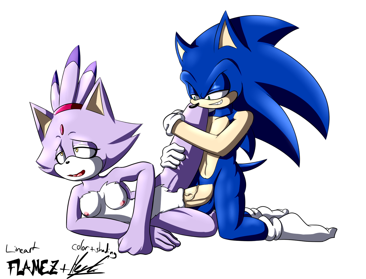 Rule34 - If it exists, there is porn of it / flamez, gc-mia, blaze the cat,  sonic the hedgehog / 1403102