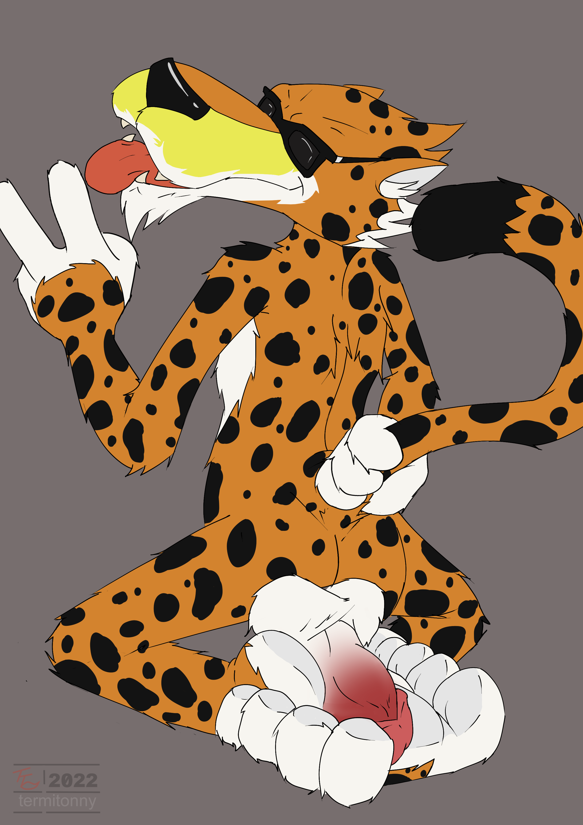 Meatcanyon chester cheetah