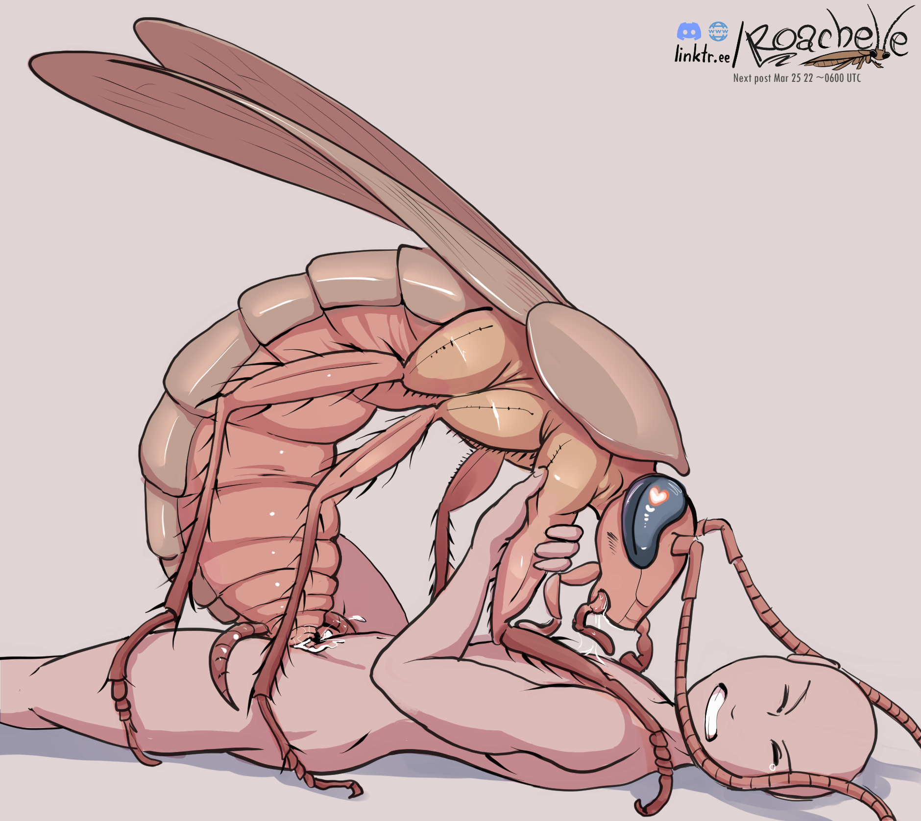 Rule 34 insects