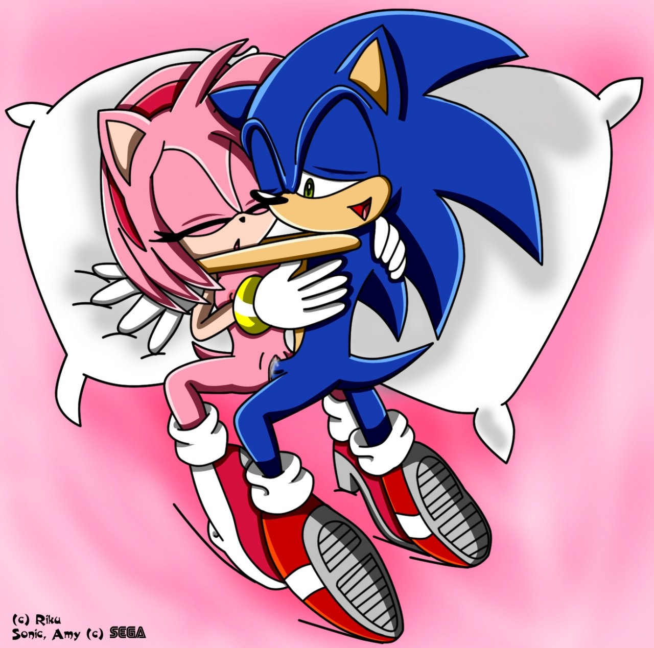 Rule34 - If it exists, there is porn of it / riku (artist), amy rose, sonic  the hedgehog / 1377783