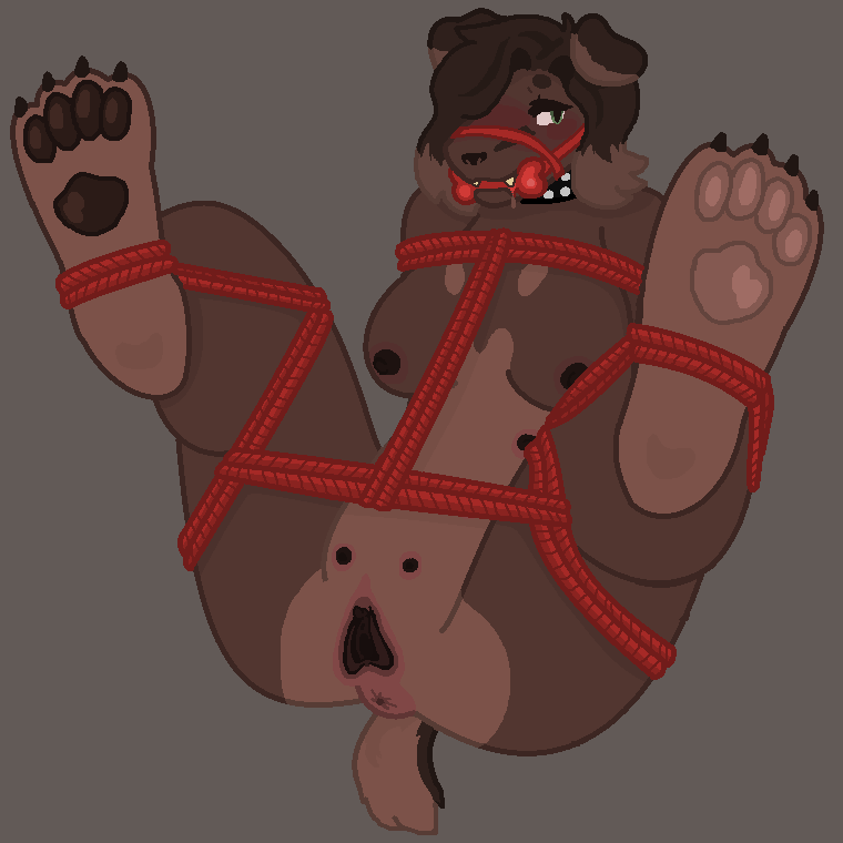 animal genitalia, anthro, anus, bodily fluids, bondage, bone gag, bound, canid, canine, canis, collar, dobermann, domestic dog, drooling, fangs, female, gag, genitals, green eyes, hybrid genitalia, looking at viewer, mammal, multi nipple, nipples, paws, pinscher, rope, saliva, solo, spread legs, spreading, teeth, varlus, 
