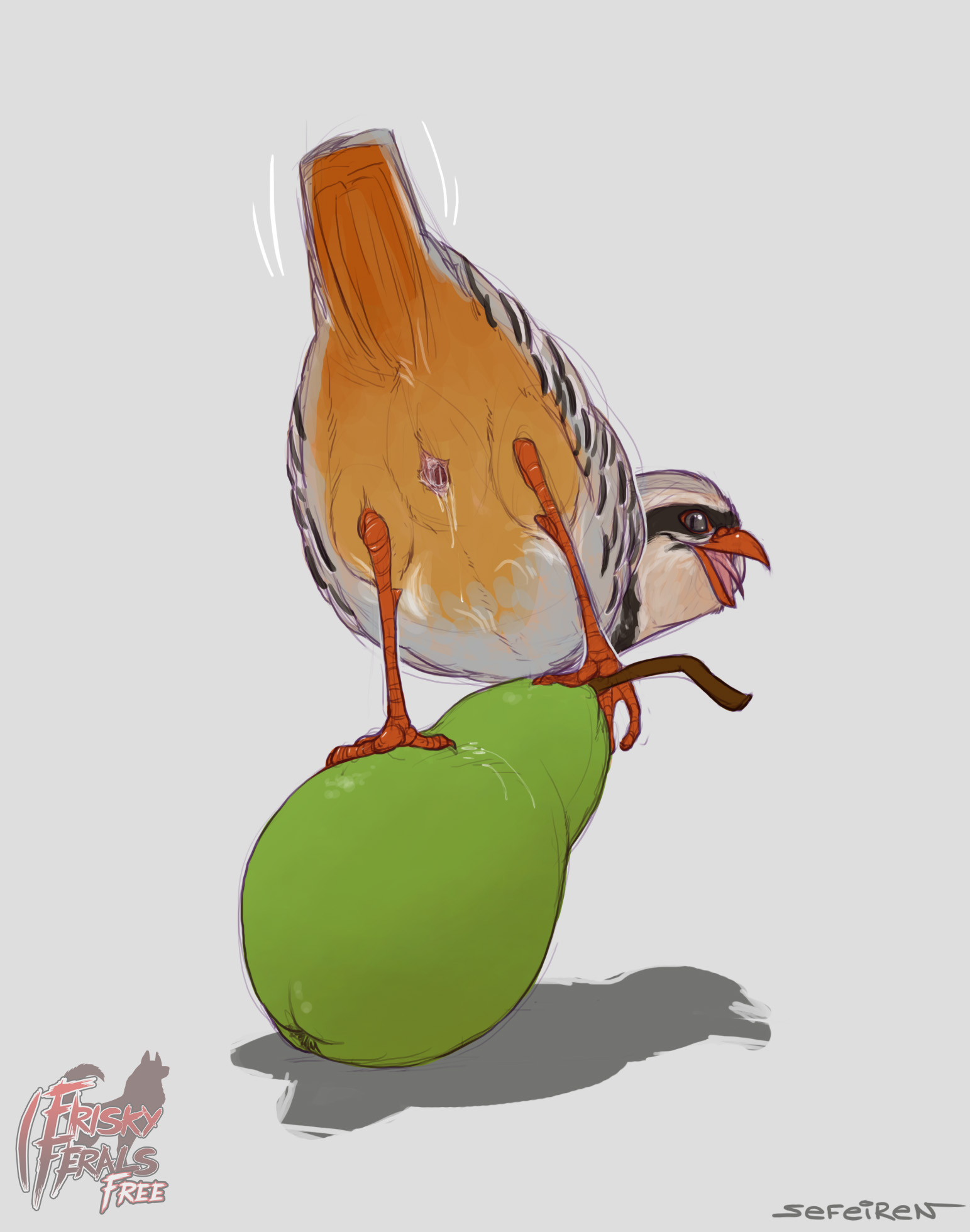 Birds in a tree clipart