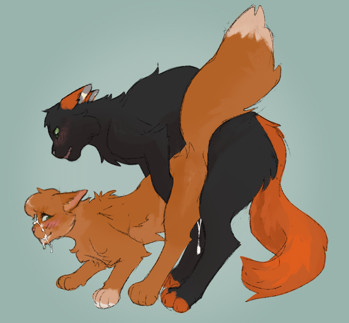 Squirrelflight warrior cats - a-lohas.jp