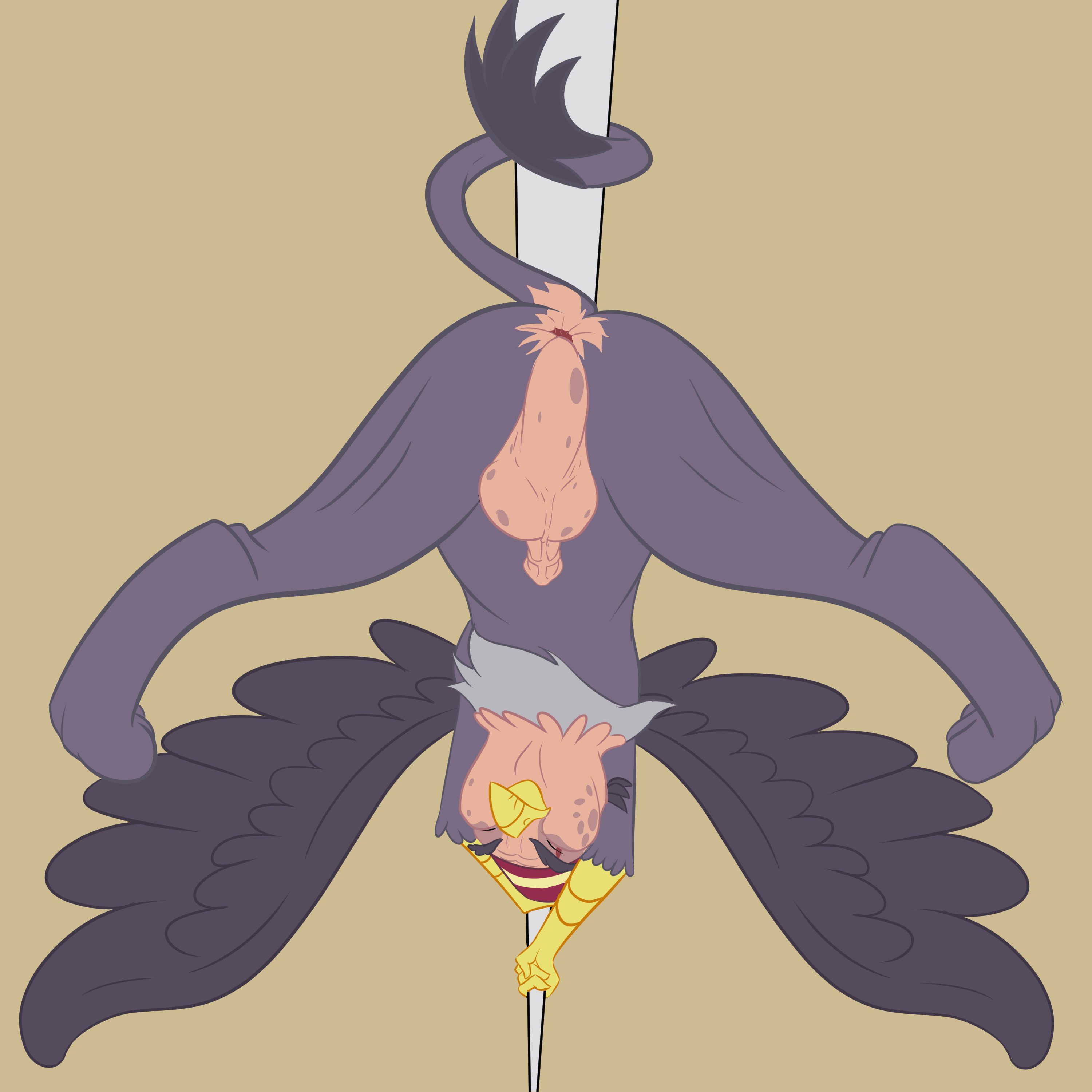 bob-jiggles, friendship is magic, hasbro, my little pony, mythology, absurd res, hi res, anus, ass, avian, balls, beak, closed eyes, clothing, eyebrows, feathered wings, feathers, feral, genitals, grampa gruff (mlp), grey body, grey feathers, gryphon, hat, headgear, headwear, long tail, male, mythological avian, old, pole, saggy balls, solo, spread legs, spread wings, spreading, stripper pole, tail tuft, tuft, wings, 