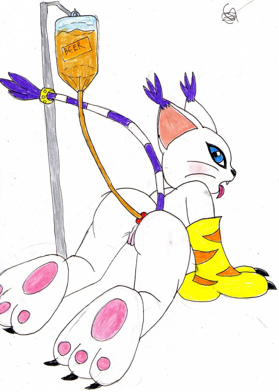 Rule34 - If it exists, there is porn of it / gatomon / 3040625