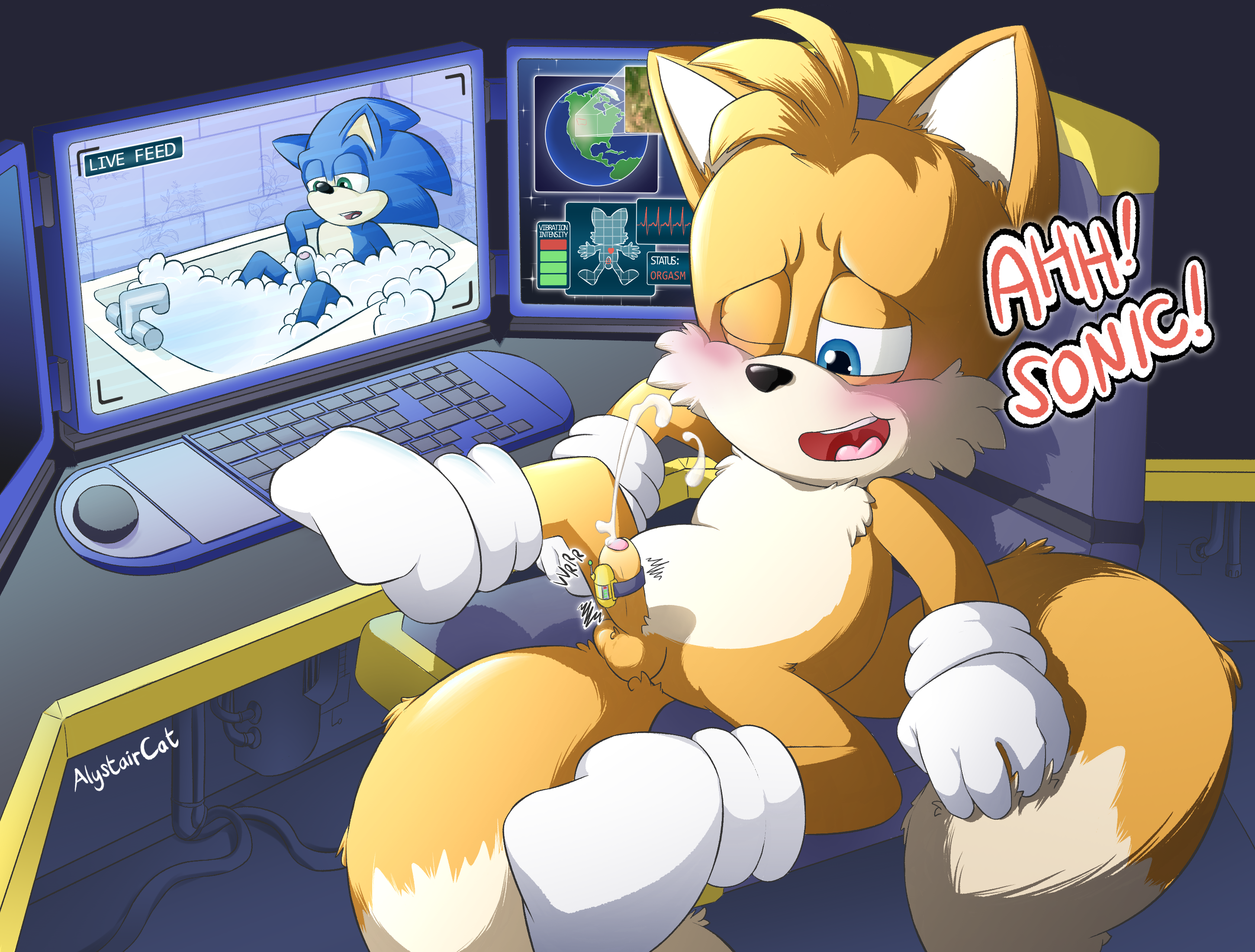 Sonic erotic audio