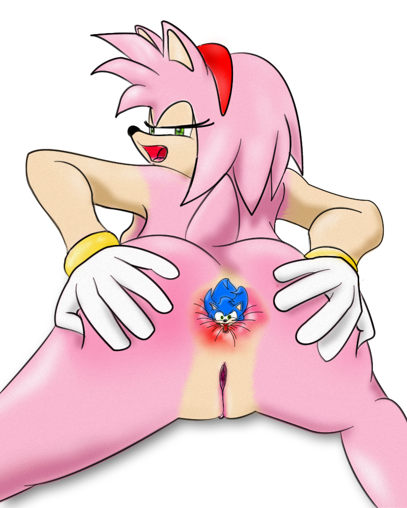 Sonic Anal Porn