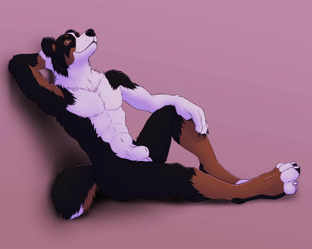 1boy, abs, abstract background, anthro, balls, bernese mountain dog, black fur, brown eyes, brown fur, canine, claws, digitigrade, flaccid, fur, furry, leaning, male, male only, mammal, nude, penis, sheath, solo, white fur, 