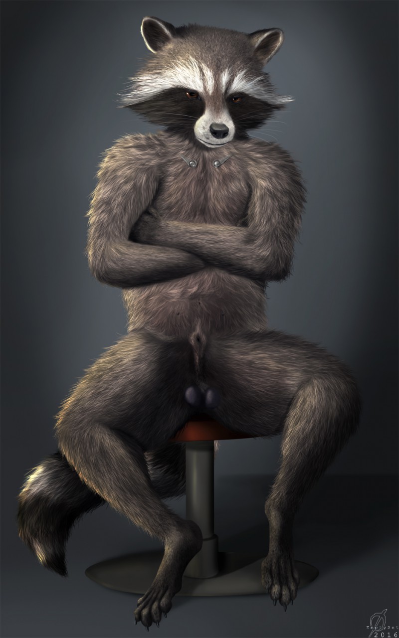 Rule34 - If it exists, there is porn of it  rocket raccoon  1364525