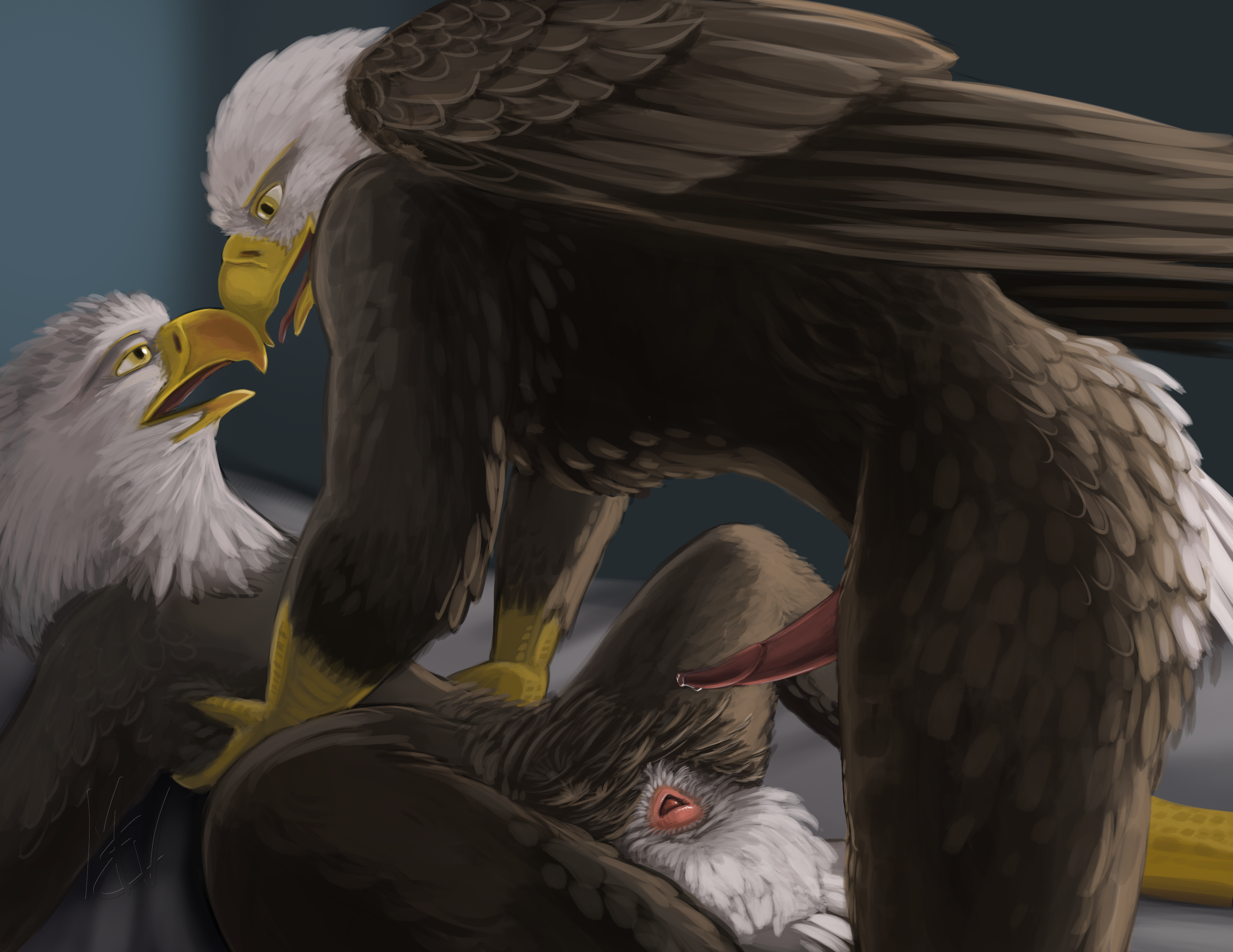 Eagle porn
