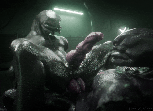 3d_(artwork) 3d_animation alien anal anal_sex animated anthro anthro_on_anthro anthro_penetrated arbiter_(halo) ass bodily_fluids cowgirl_position digital_media_(artwork) dim_lighting duo erection from_front_position garrot genitals halo_(series) knot littleslice-sfm male male/male male_penetrated male_penetrating male_penetrating_male microsoft muscular nude on_bottom on_top penetration penile penile_penetration penis penis_in_ass sangheili sex stomach_bulge sweat xbox_game_studios