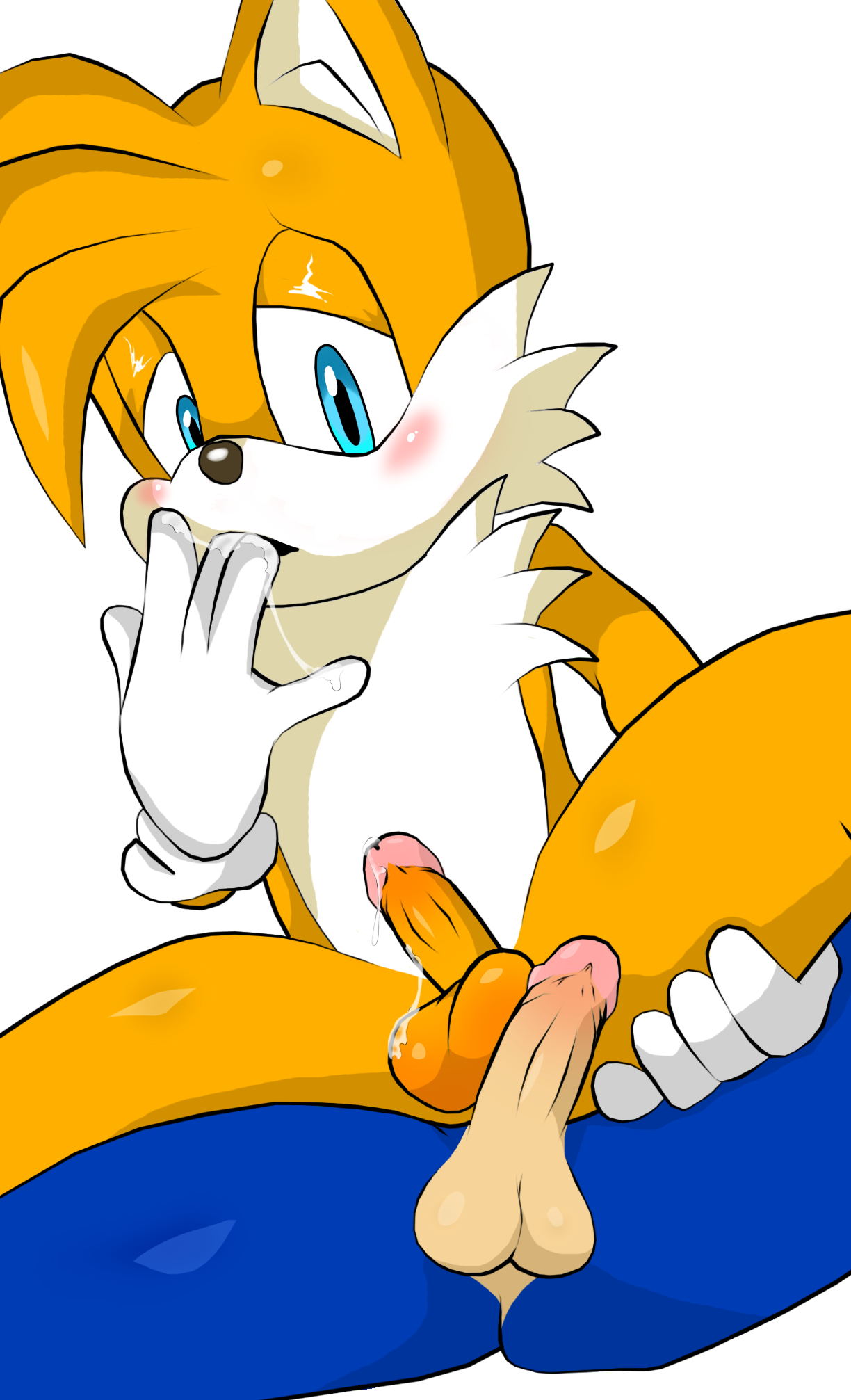 Tails x sonic porn - 🧡 Sonic and Tails Series (Sonic The Hedgehog) ...