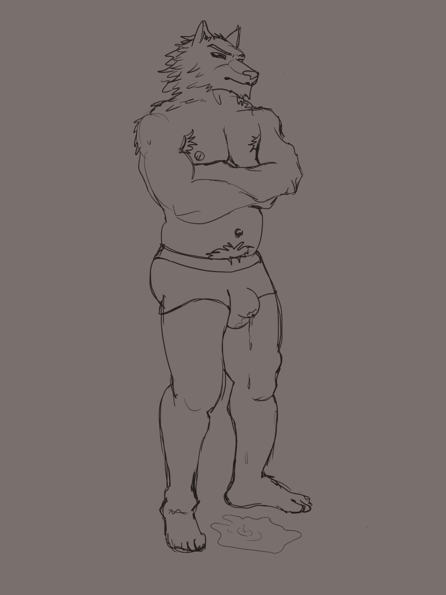 hi res, anthro, armpit hair, bodily fluids, body hair, bulge, canid, canine, canis, clothing, domestic dog, genital fluids, hair, hairy, husky, male, mammal, musclegut, muscular, nordic sled dog, peeing, pubes, solo, spitz, underwear, underwear peeing, urine, watersports, wetting, wolf, 