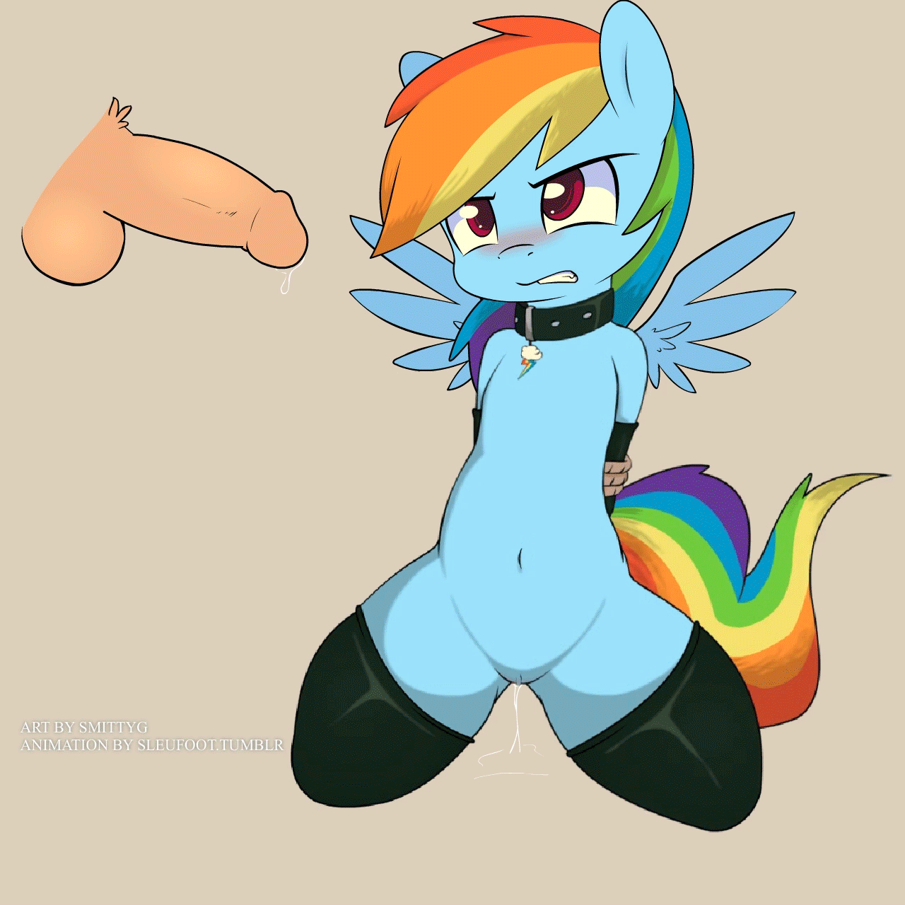 sleufoot, rainbow dash (mlp), friendship is magic, my little pony, 2014, animated, balls, blush, equine, female, feral, flaccid, horse, human, male, mammal, pegasus, penis, pony, precum, pussy, wet pussy, wings, 